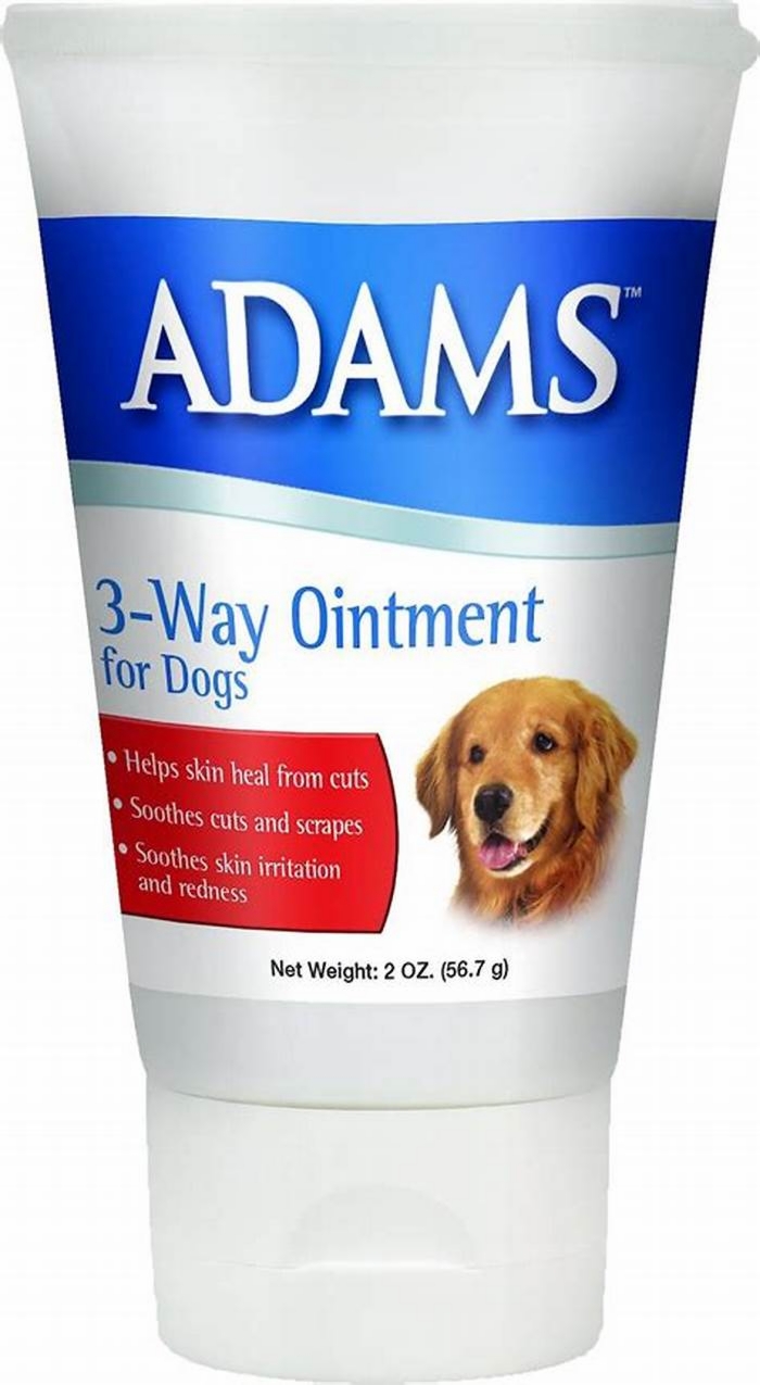 What ointment can you use on dogs