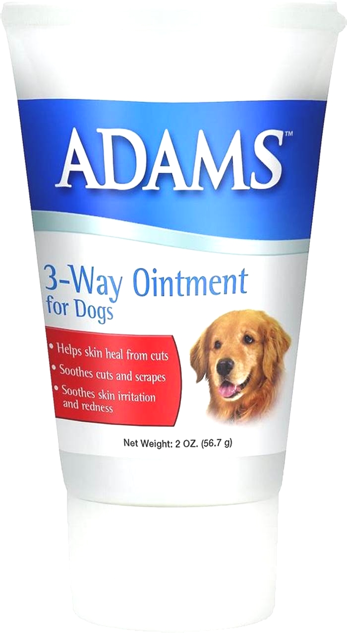 What ointment is safe for dogs