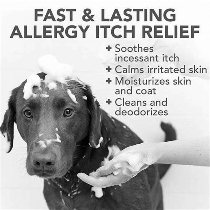 What should I wash my dog with for itchy skin?