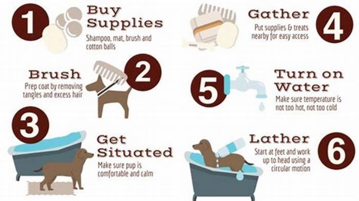 When should you not bathe your dog?