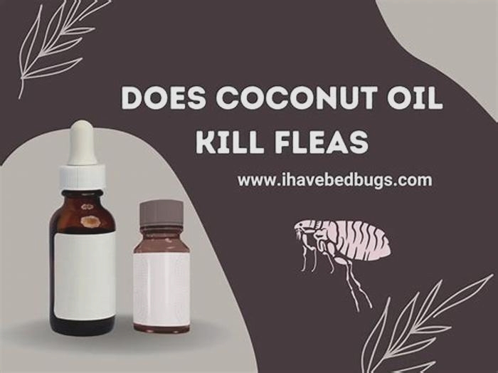 Why do fleas hate coconut oil?