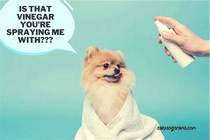 Why do groomers spray dogs with vinegar?